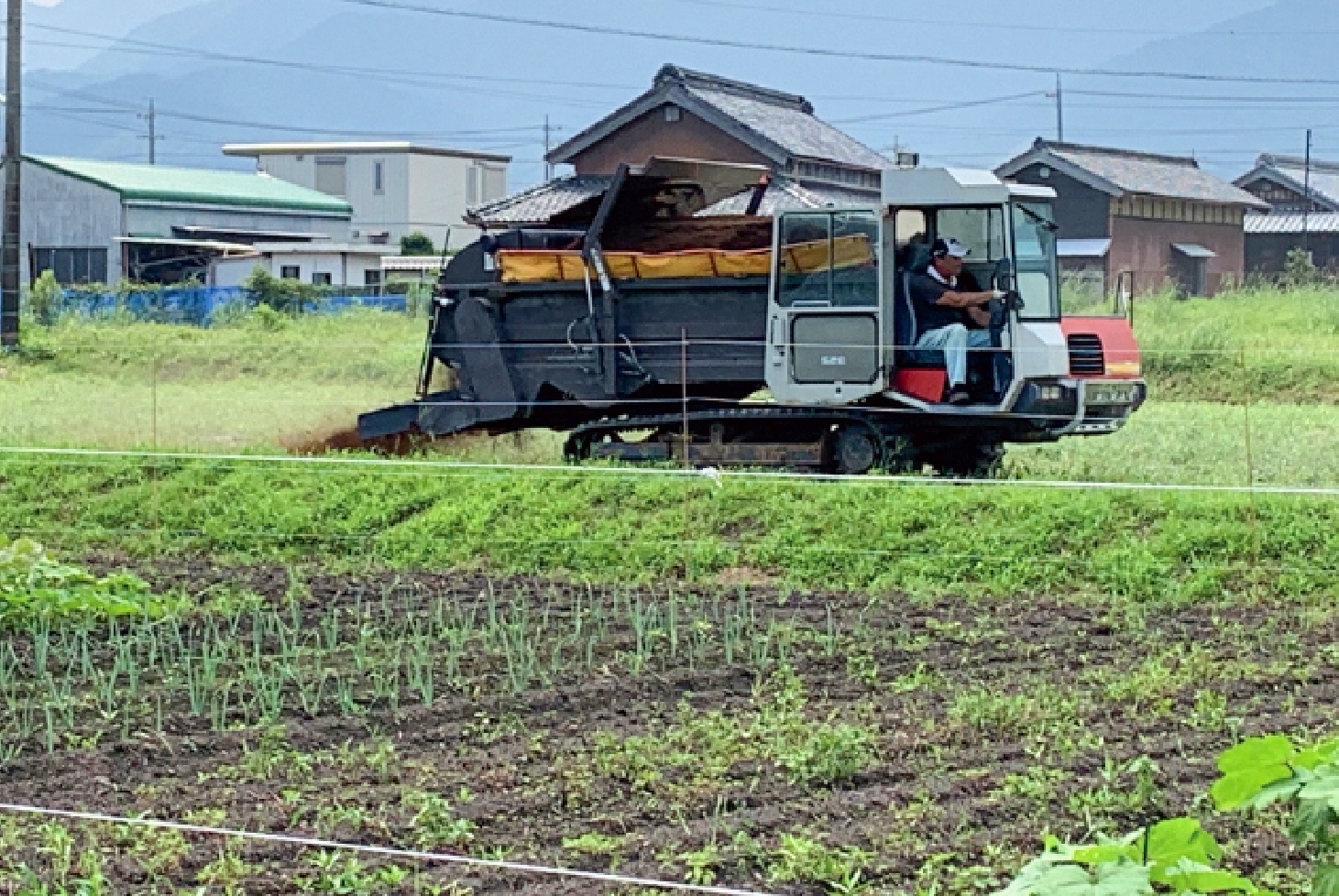 ぼくそんふぁ〜む